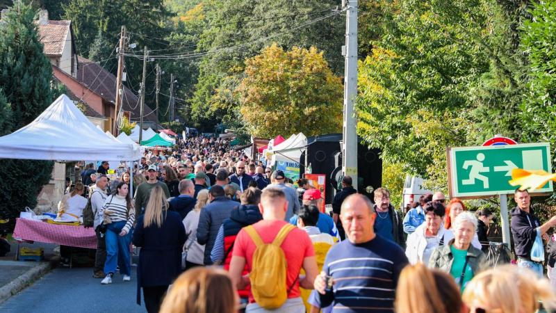 A Velemi Gesztenyenapokon jártunk, ahol a gesztenye valóban a középpontban állt - annyi izgalmas pillanatot örökítettünk meg, hogy a fényképezőgépünk szinte meg sem állt!