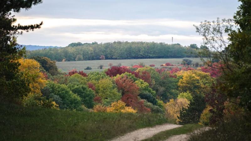 Fedezd fel a balatongyöröki Szépkilátó lenyűgöző panorámáját! (+ videó)