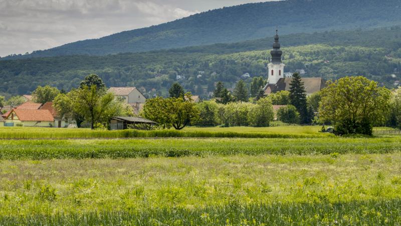 Fellendülés tapasztalható a lakáspiac terén, és egyre inkább szokatlan helyszíneken keresnek otthont az érdeklődők.
