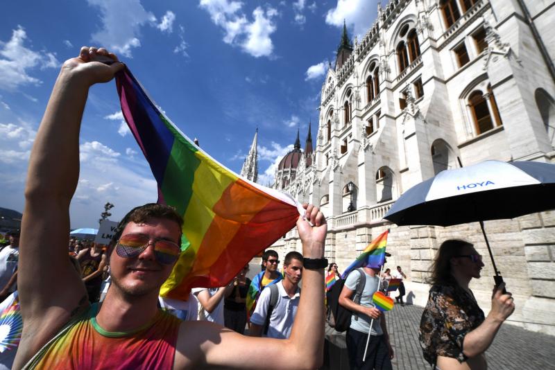 A hírek szerint a rendőrség a Lovira javaslatára eltávolítaná a Pride rendezvényt.