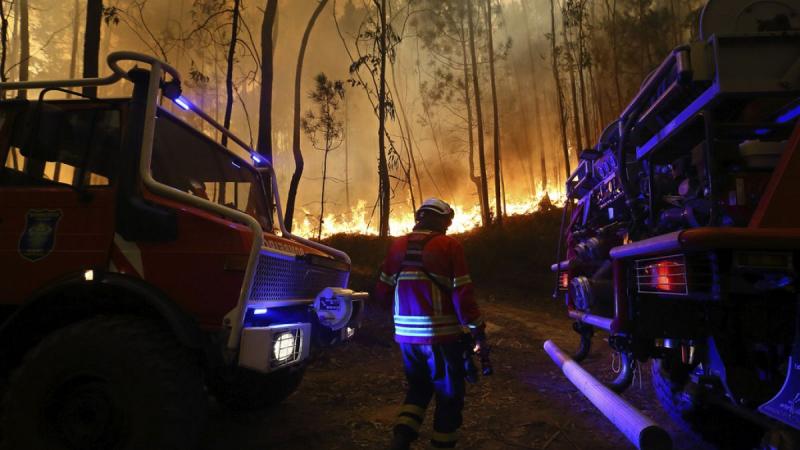 Portugáliában egyre inkább terjednek az erdőtüzek, ami miatt számos embernek kell elhagynia otthonát. A lángok megállíthatatlanul pusztítanak, és a hatóságok folyamatosan dolgoznak az evakuálás megszervezésén.