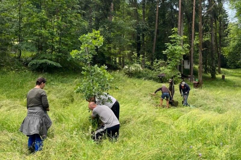 Az Uniós pályázati források révén új lehetőségek nyílnak meg a Csiky-kert fejlesztésére | Székelyhon