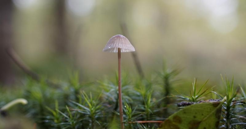 A meglepetések hete - felfedjük, milyen időjárási fordulatok várnak ránk!