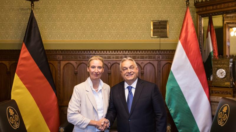 Alice Weidel: Budapest a világ legszebb helye, Magyarország fénysugara, amely a szabadságot hirdeti.