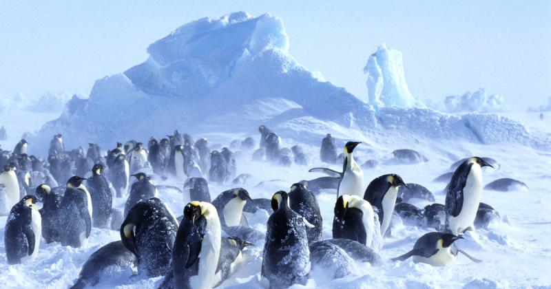 A jégbe fagyott kontinens titokzatos ősi civilizációkat takar.